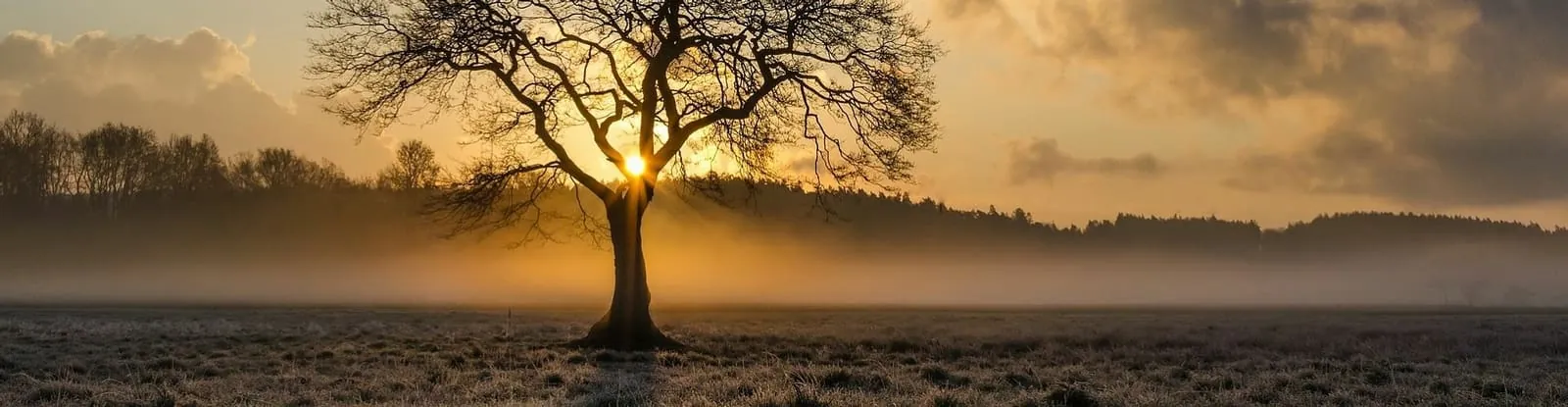 Countryside near Chertsey Caravan Park at sunrise